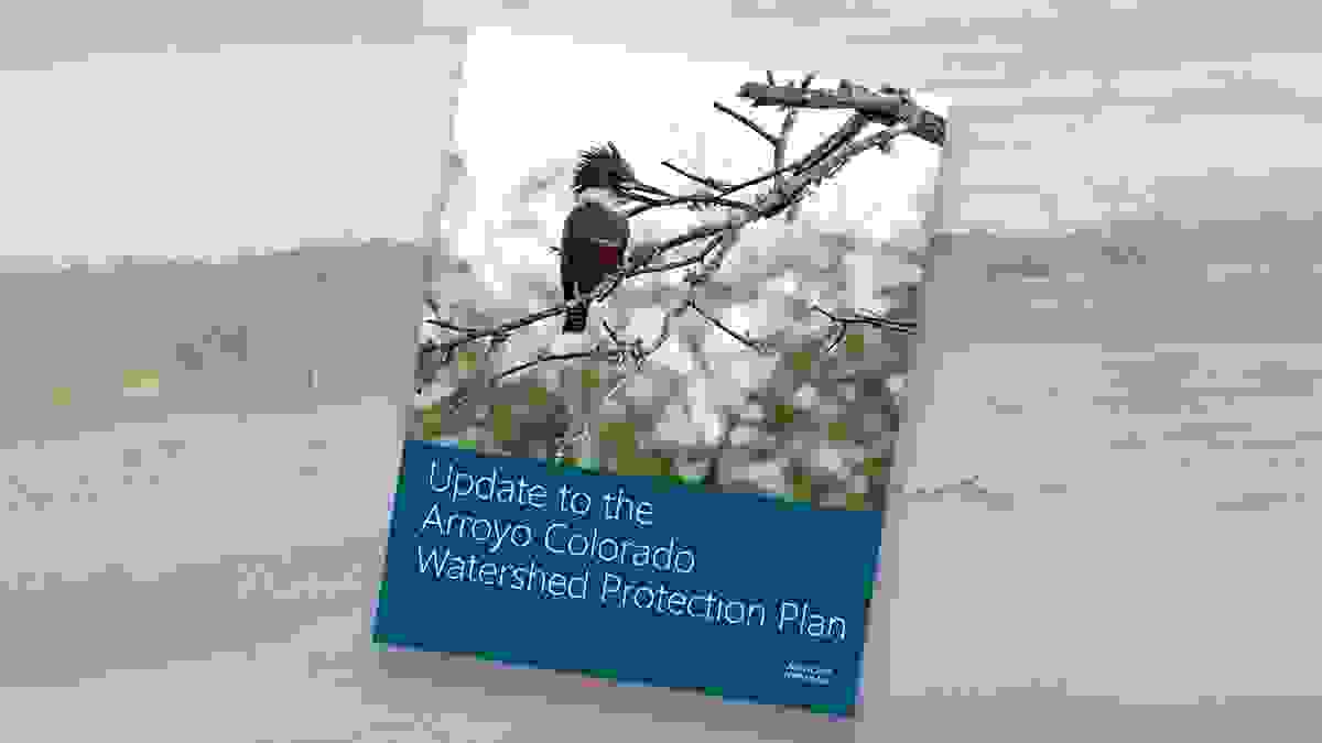 2017 Update to the Arroyo Colorado Watershed Protection Plan