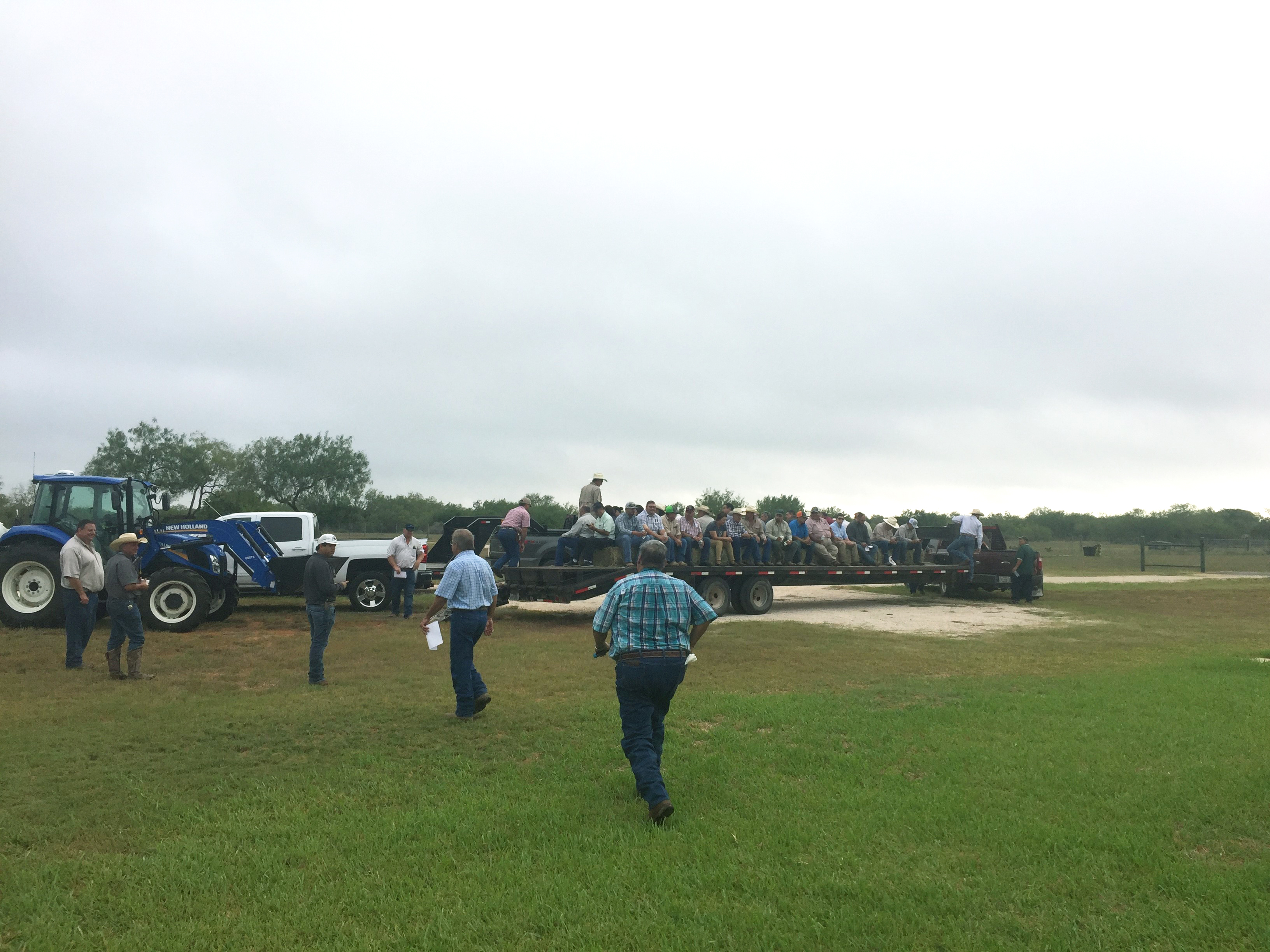 Forage Field Day