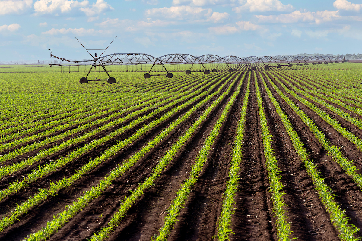 20210407 Rural Scenes LM 005