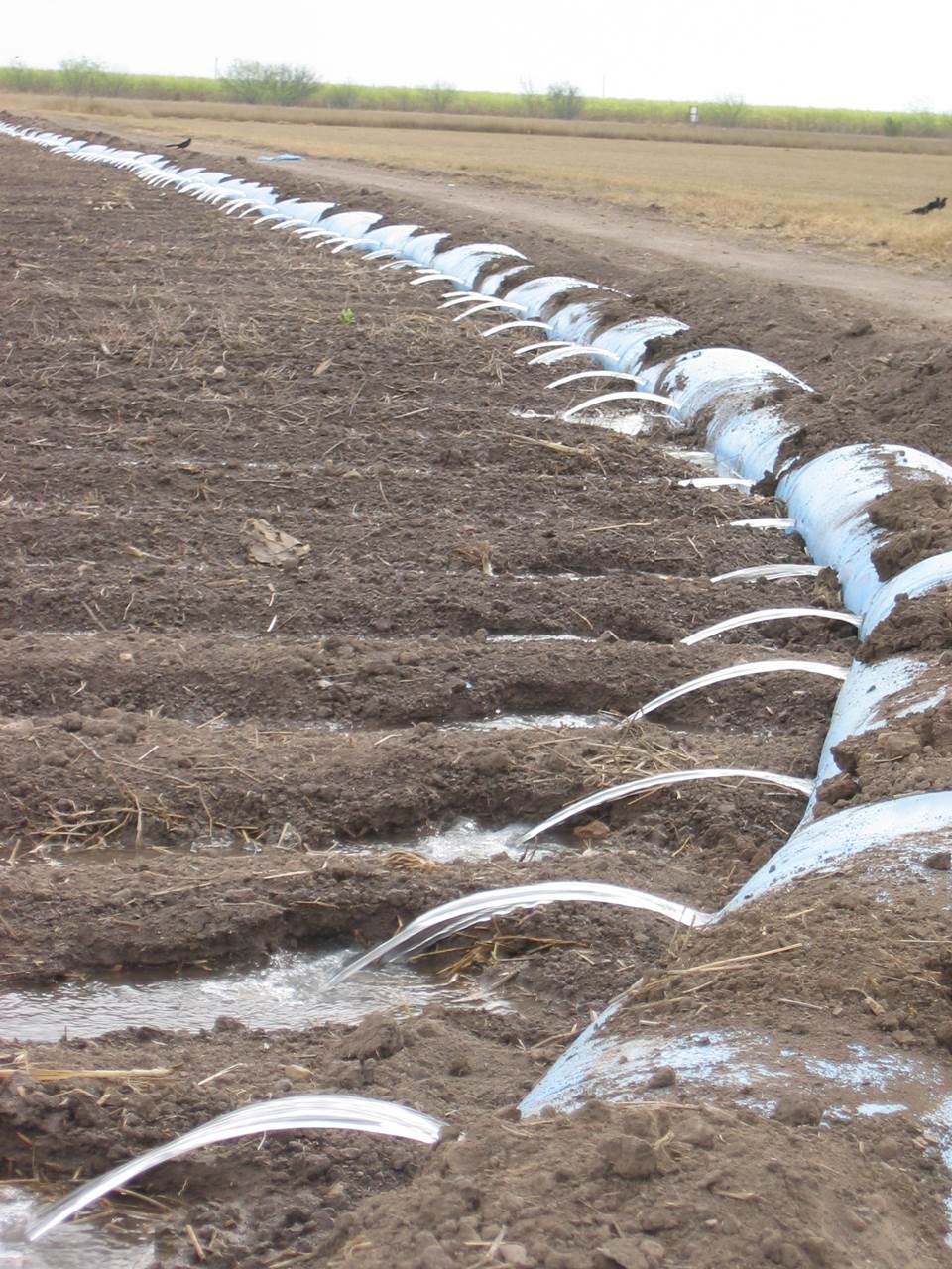 Polypipe Irrigation