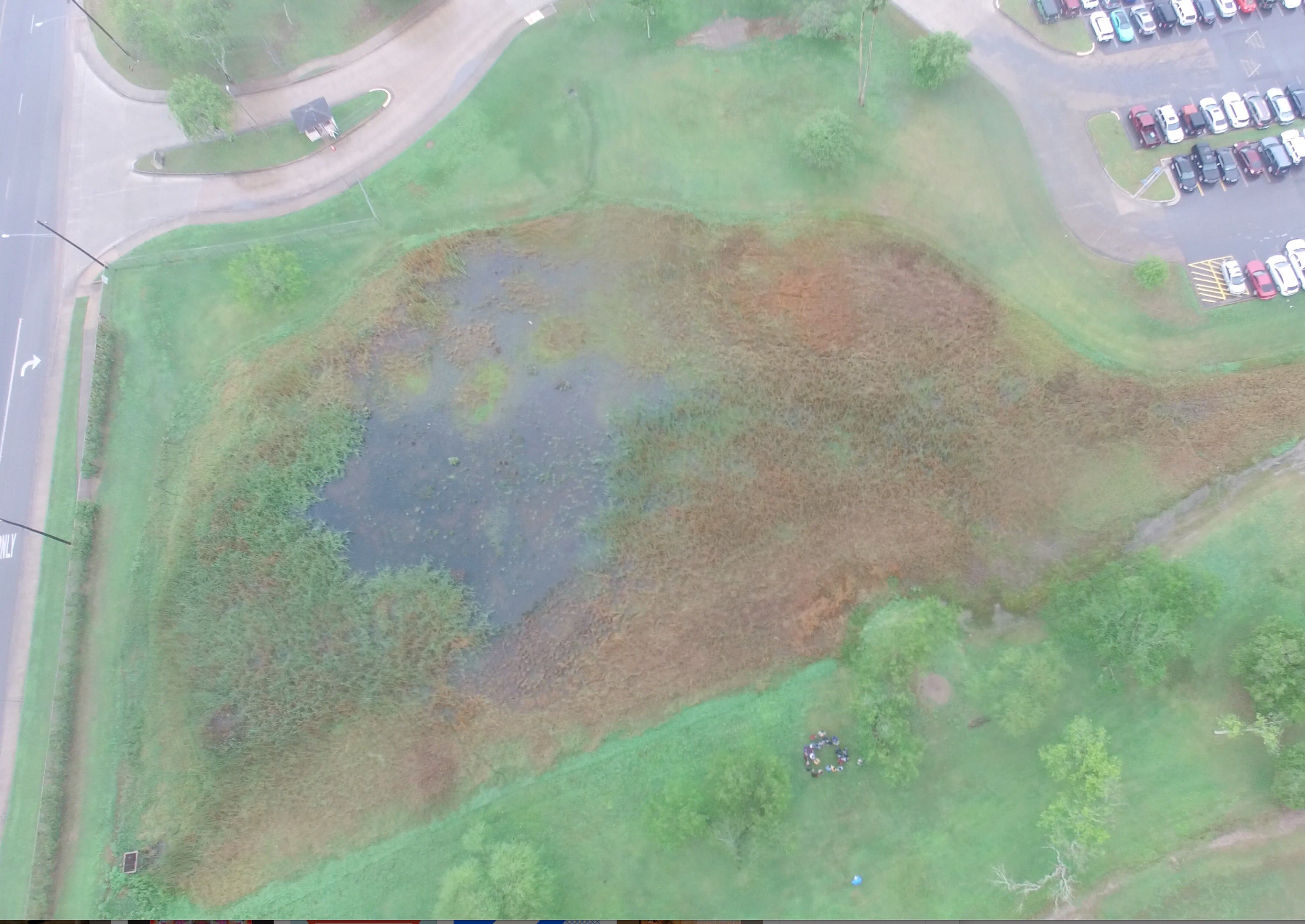 An aerial view of Falcon Pond and the surrounding area.