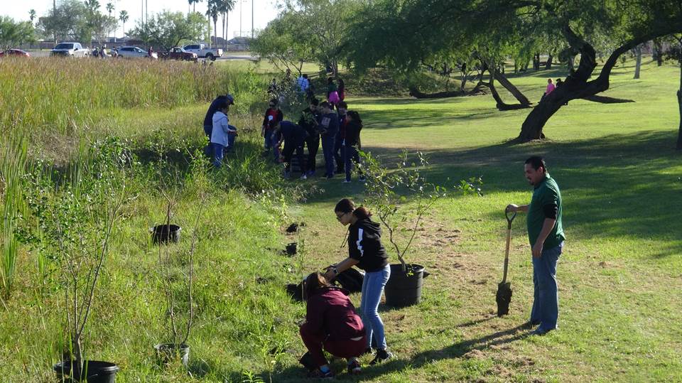 Los Fresnos High School students planting flowers, shrubs and trees at Falcon Pond Beautification Day.