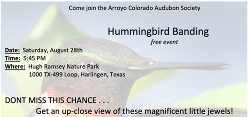 Hummingbird Banding Informational Banner