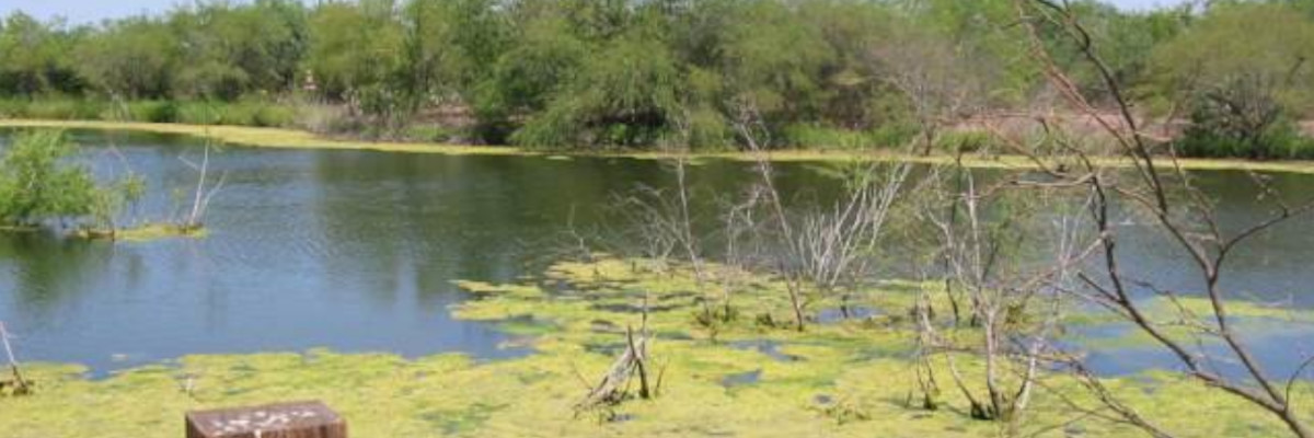 Llano Grande Lake Restoration Project banner