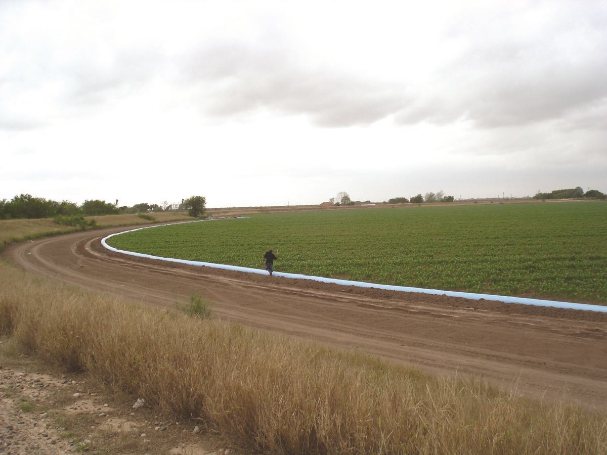 Agriculture in Arroyo Colordo Floodplain