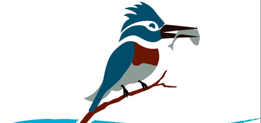 Arroyo Colorado Logo (Cropped) Banner