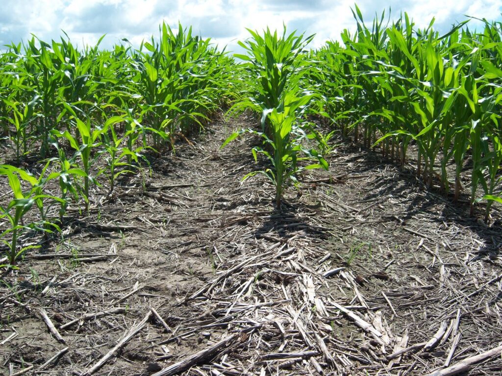 Conservation tillage