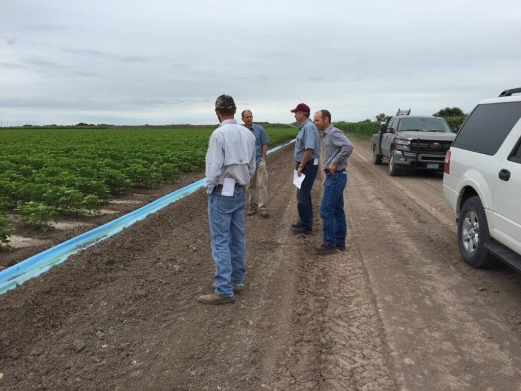 Polypipe used to irrigate cotton variety trials.