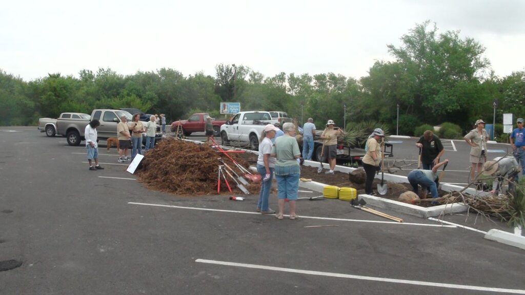 A bio-retention basin was built at Ramsey Park and planted with native plants and trees.