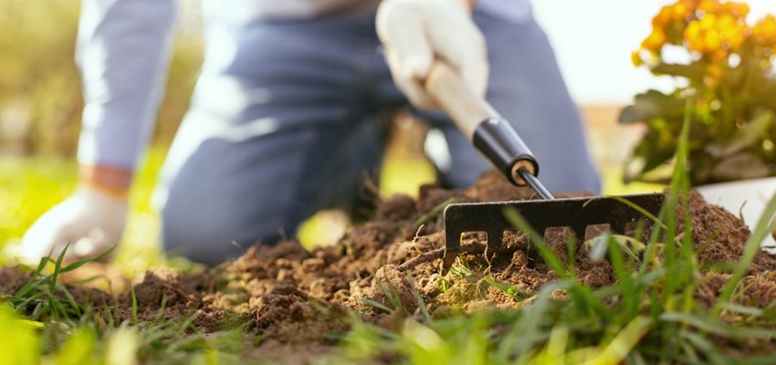 Person gardening in the fall