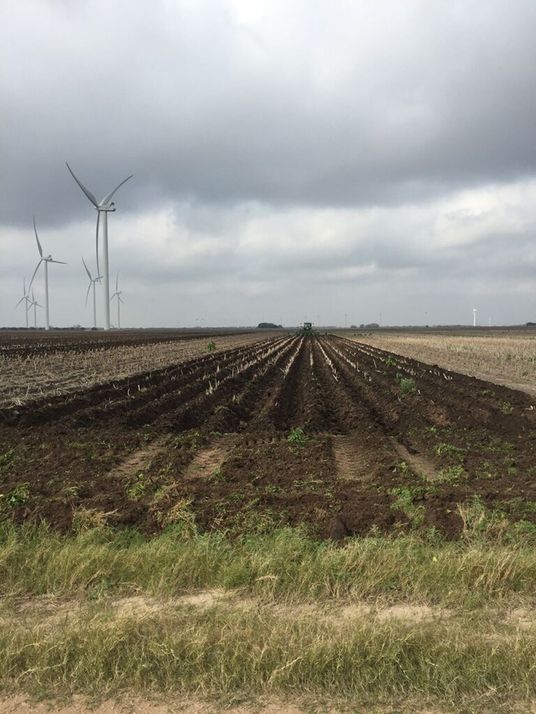 Planted and tilled field