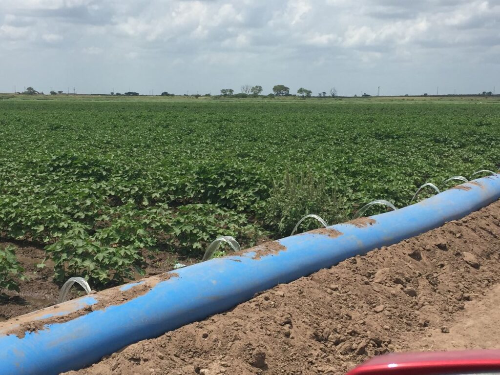 Crop irrigation