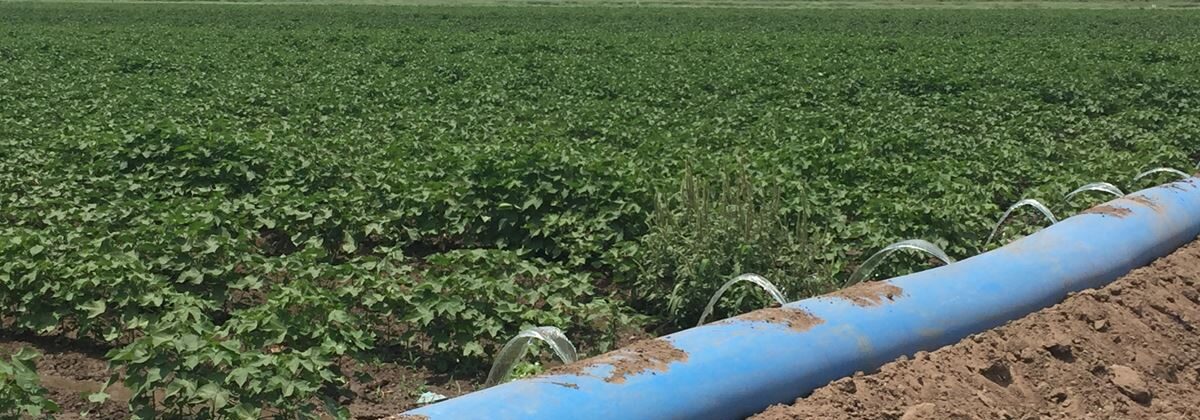 Crop irrigation