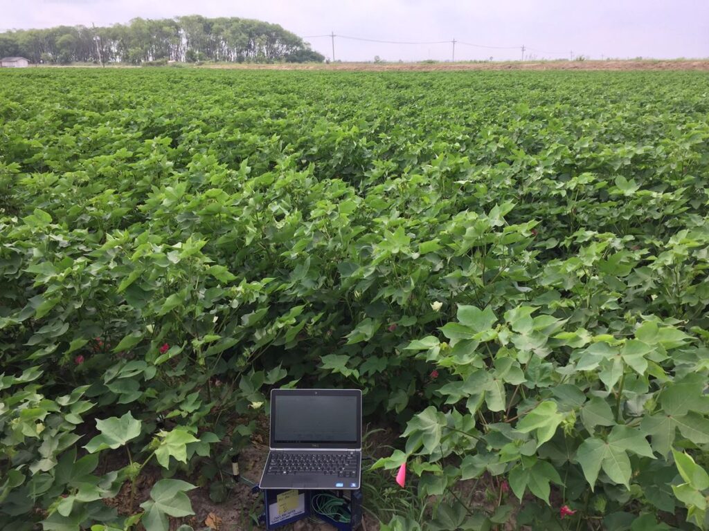Computer in crop field