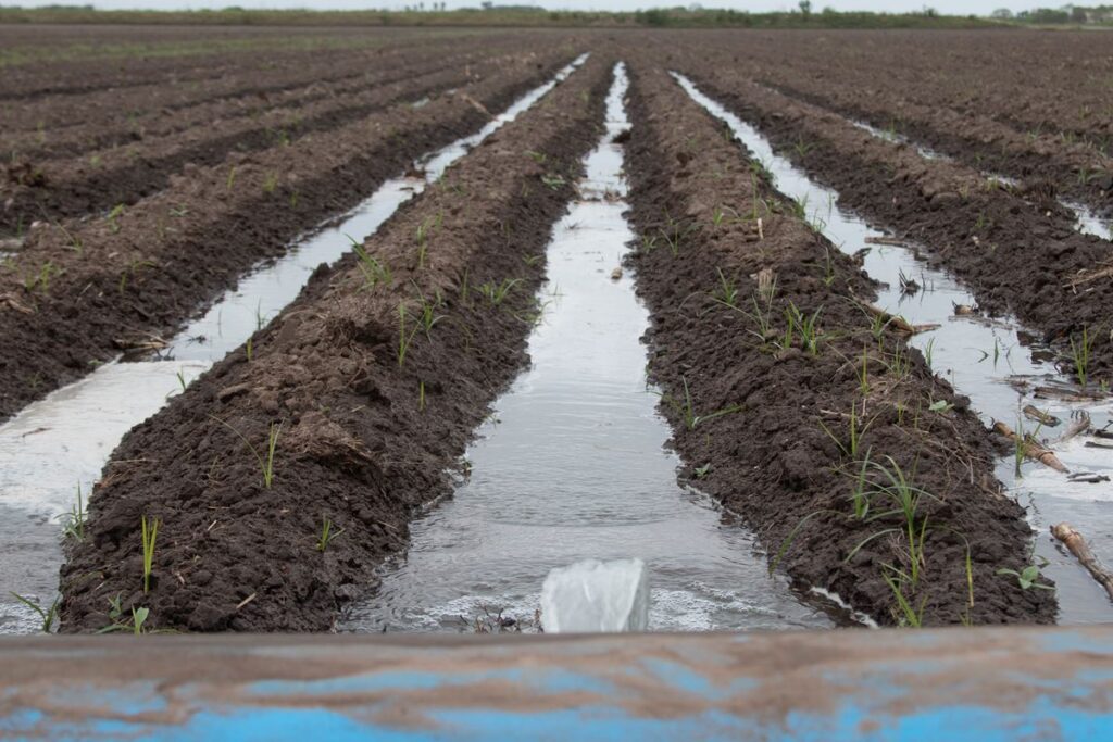 Polypipe irrigation