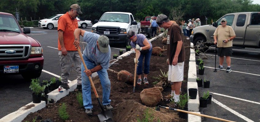 Volunteers planting trees