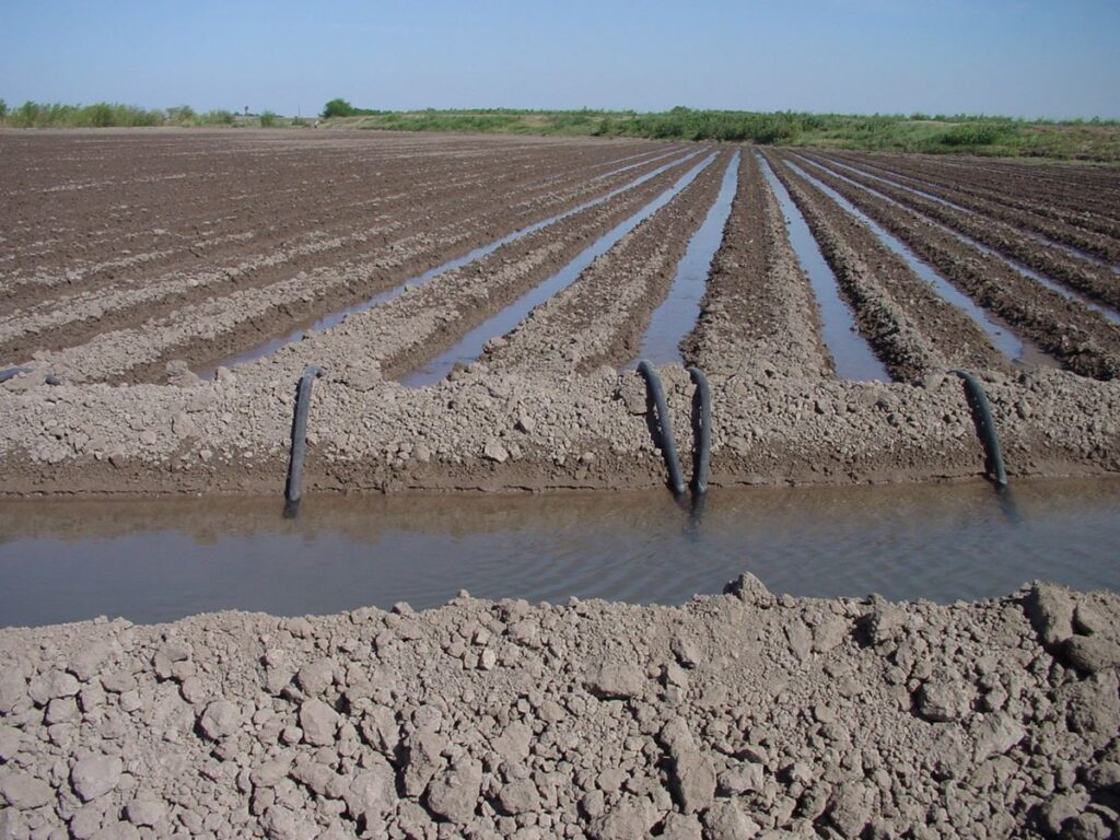 Irrigation management