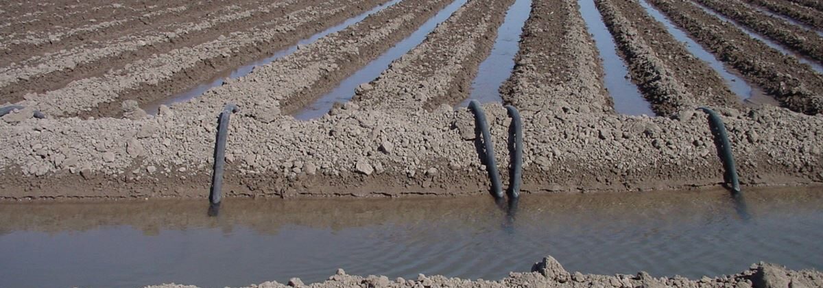 Irrigation management