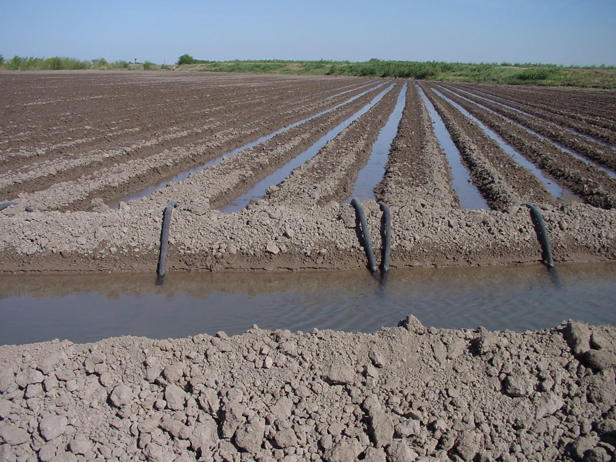 Irrigation management