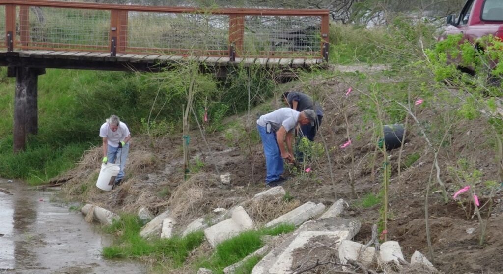 Planting trees around the San Benito Phase III wetland ponds.