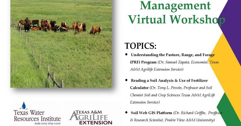 Soil Forage Management virtual workshop final flyer