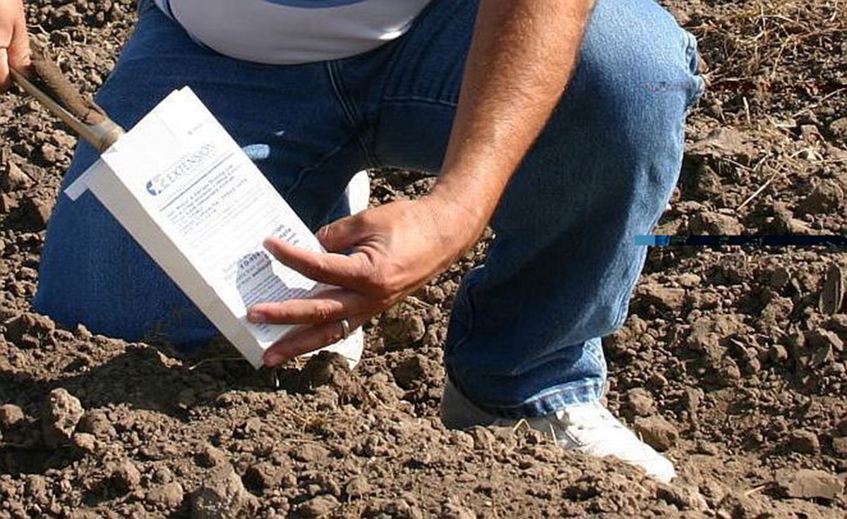 Soil testing, AgriLife Today