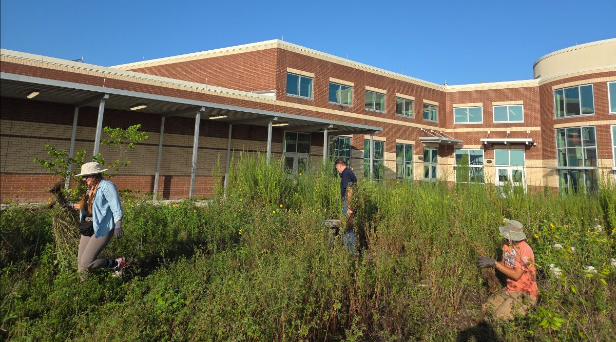 First day removing weeds and aggressive plants with NPSOT volunteers by Samantha Colunga, TWRI.
