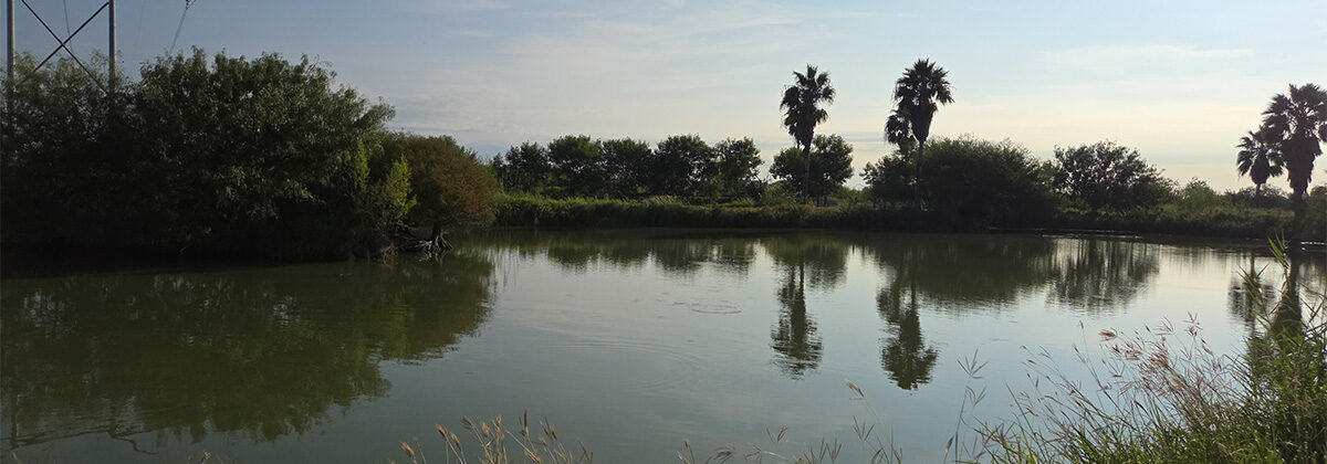 Arroyo Colorado by Samantha Colunga