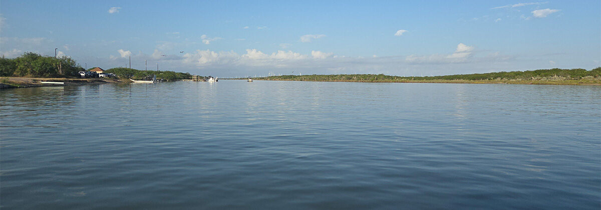 Arroyo Colorado by Samantha Colunga