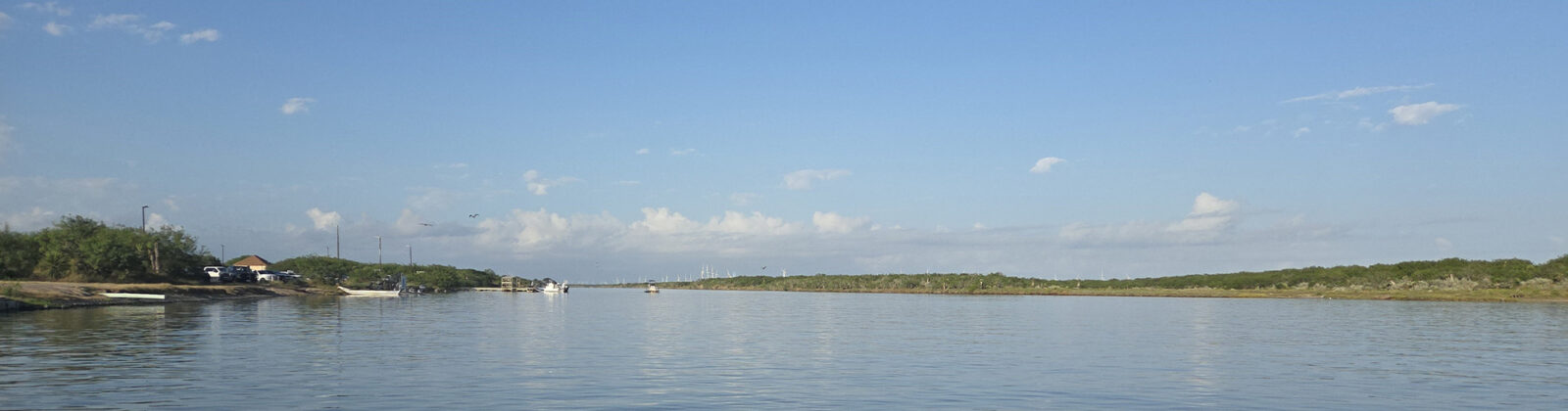 Arroyo Colorado by Samantha Colunga, TWRI