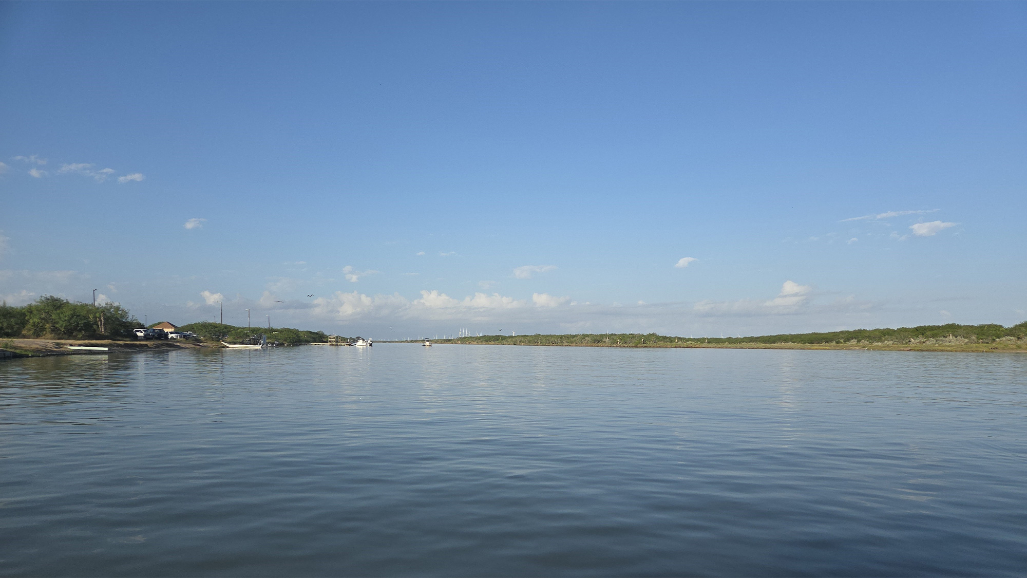 Arroyo Colorado by Samantha Colunga, TWRI